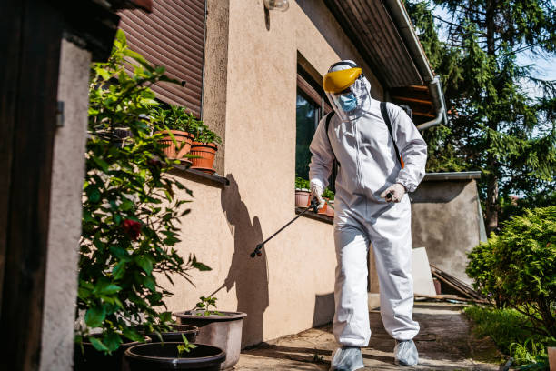 Best Rat Extermination Near Me  in Rockwall, TX