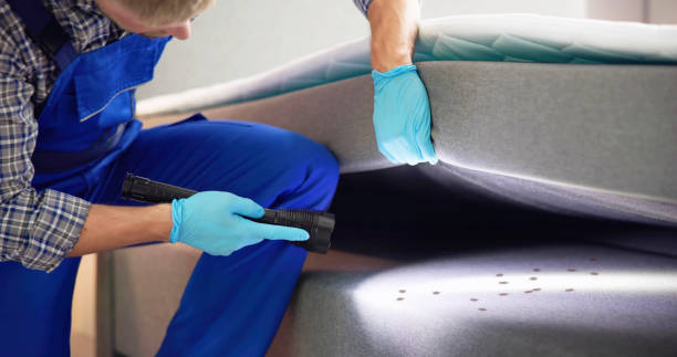 Best Commercial Pest Control Services  in Rockwall, TX